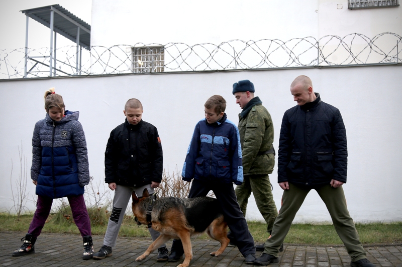 Собаки в Минском приемнике-распределителе для несовершеннолетних