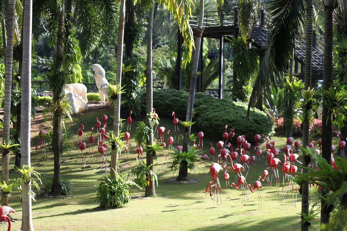 Сад фламинго - Таиланд